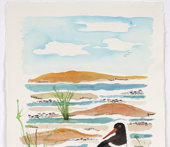 Oystercatchers Tide