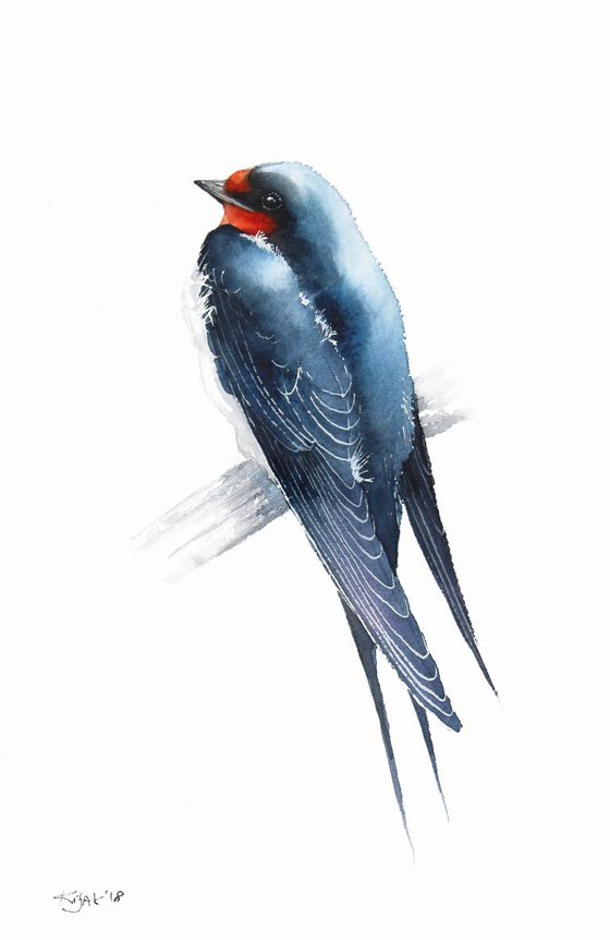 Barn Swallow, 20x30cm, watercolour painting