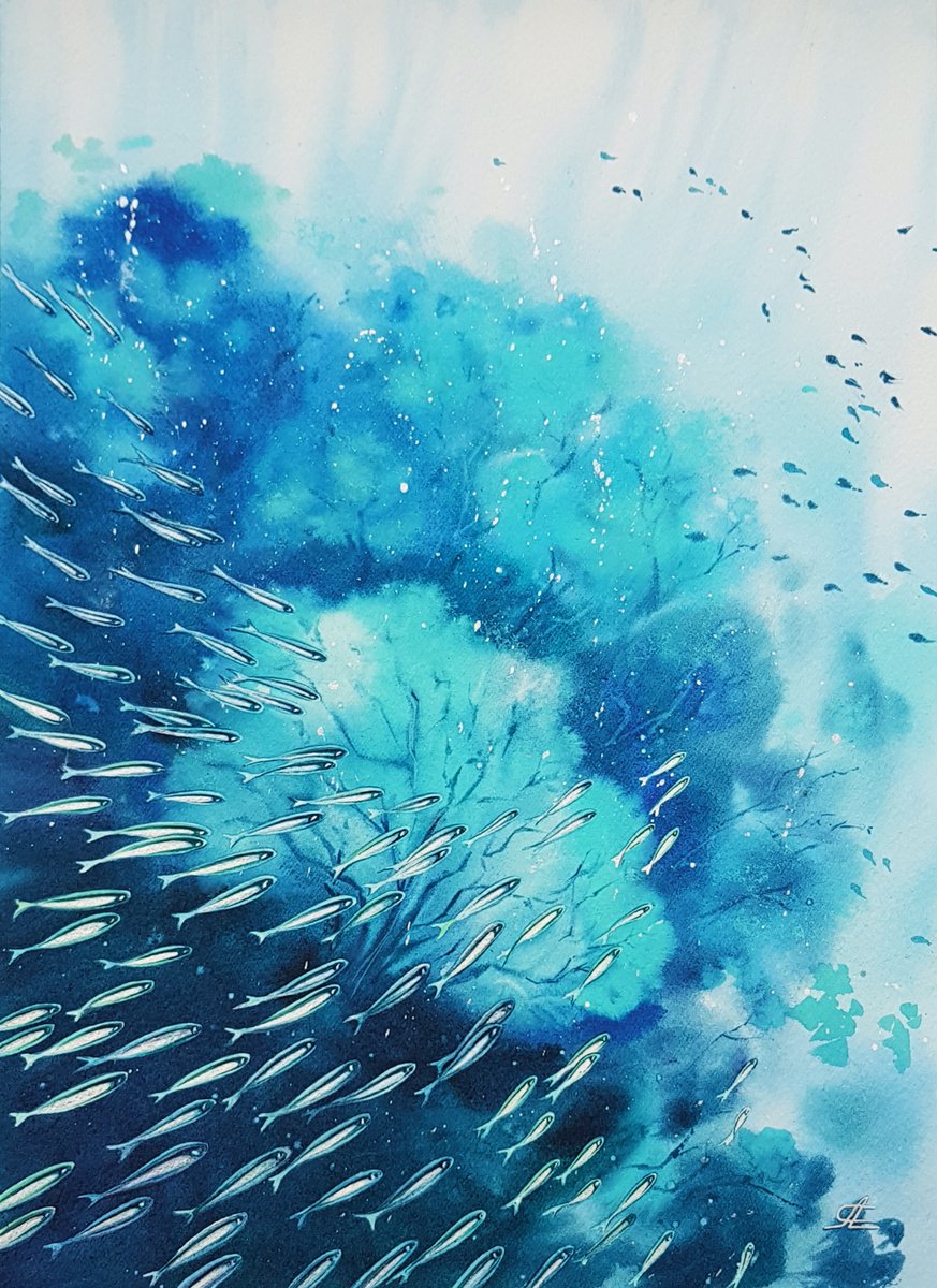 Coral reef fishes by Svetlana Lileeva