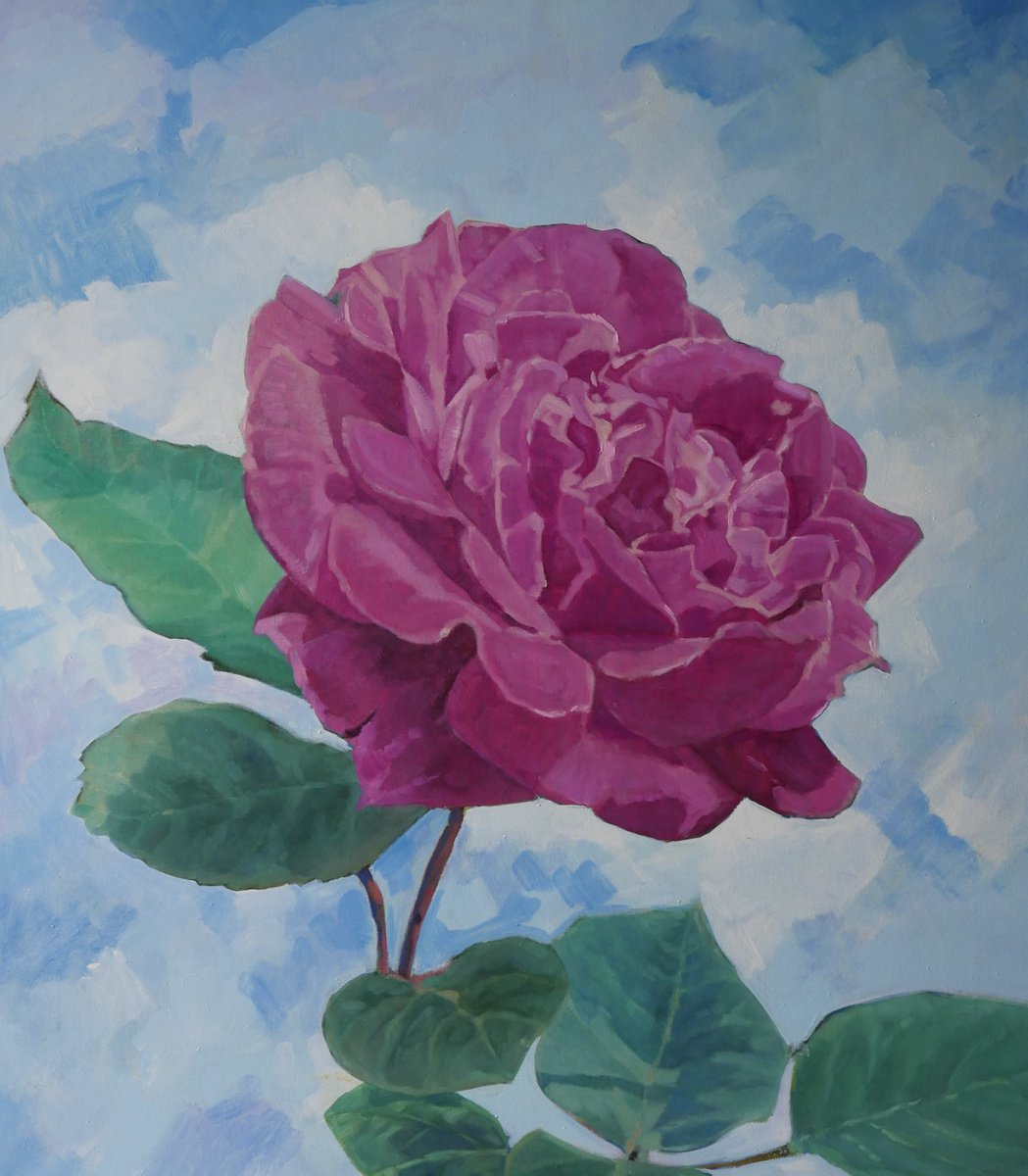 Photorealistic Botanical Oil Painting By Susanna Montagnino, 28 X 31", Rose, Original Artwork