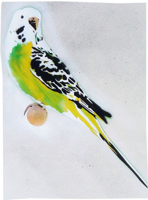 Grandma's Other Budgie (On Gorgeous Water Colour Paper) + Free Poem by Juan Sly
