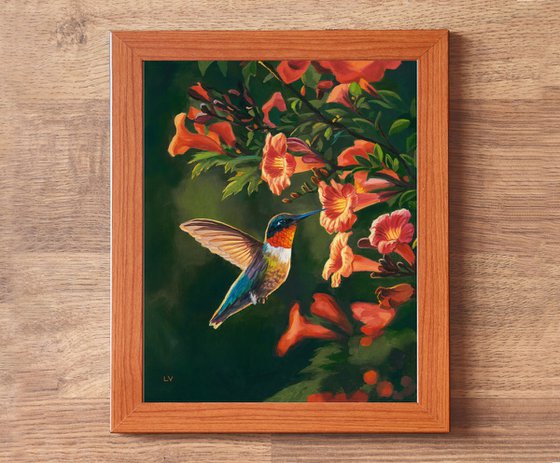 Hummingbird with trumpet vine
