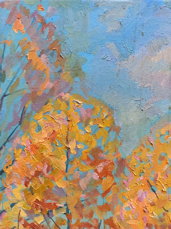 Autumn sunny day