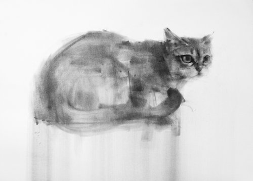 cat 2023 2 by Tianyin Wang