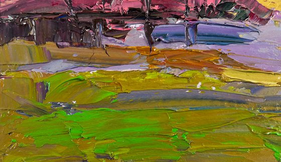 Spring Colorful Day in the Mountains