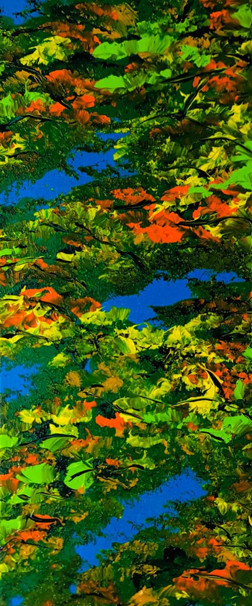 Colorful autumn 3 by Daniel Urbaník