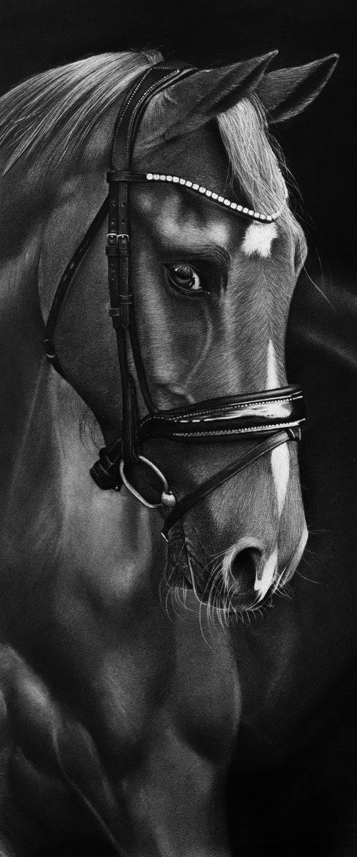 Horse Drawing #2 by Mariam Darchiashvili