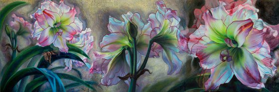 Pink Amaryllis Triptych