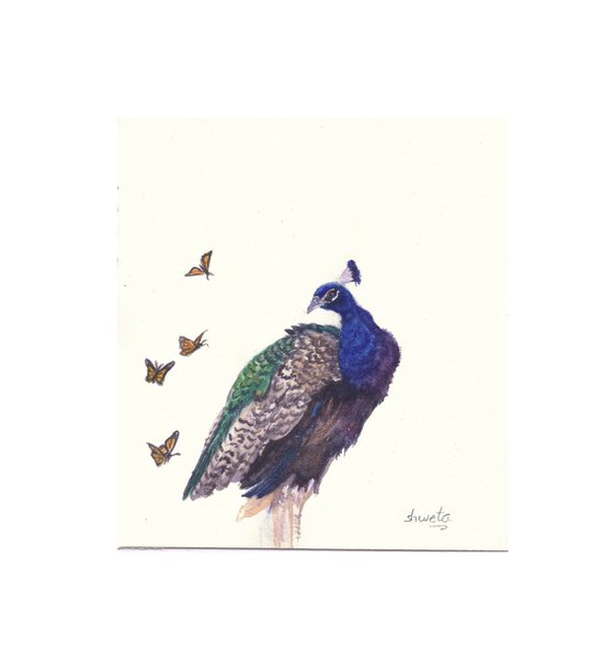 Peacock and butterfly