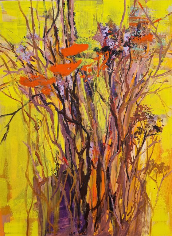 Plants