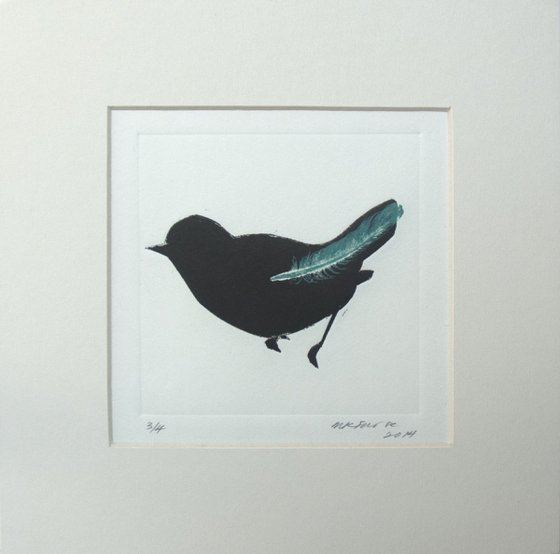 Black bird with blue feather
