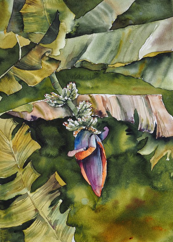 Banana trees - original watercolor tropical green palms