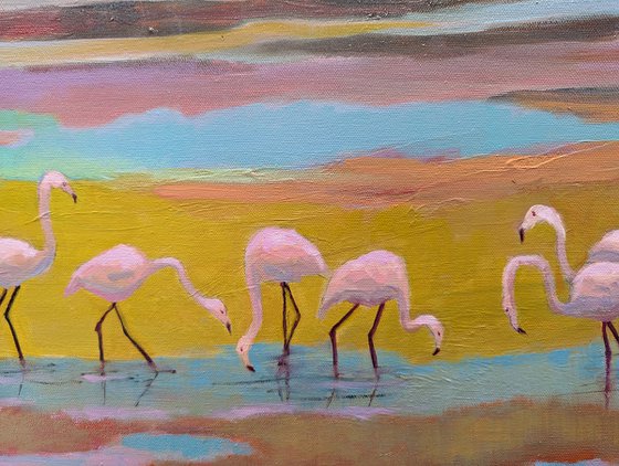 Pink Flamingo's Land