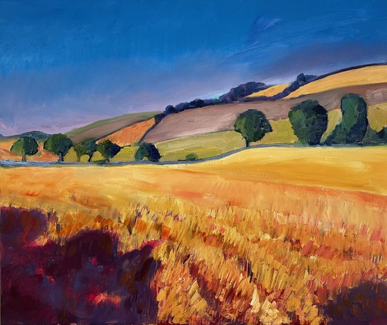 'Summer hillside, Fife'