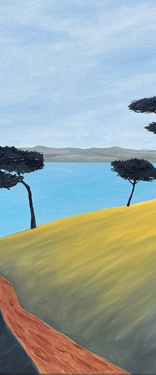 The coastal path by Cadiou Frederic