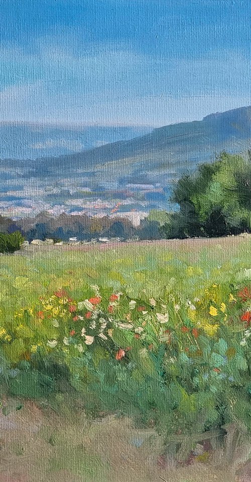 Champs de Rame by Pascal Giroud