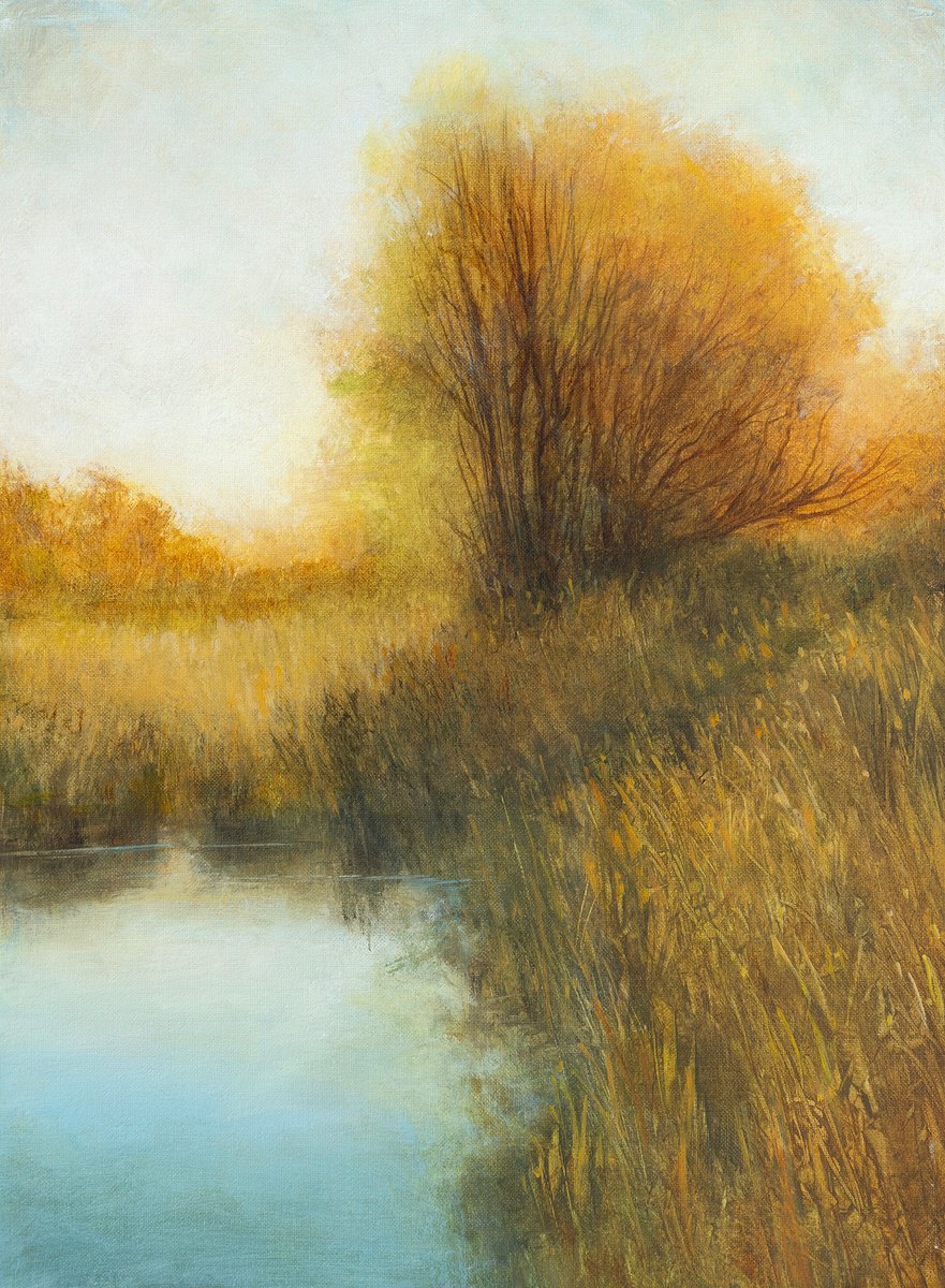 Wetlands Glow 251202 By Don Bishop, 12 X 16, Artwork For Sale On Artfinder