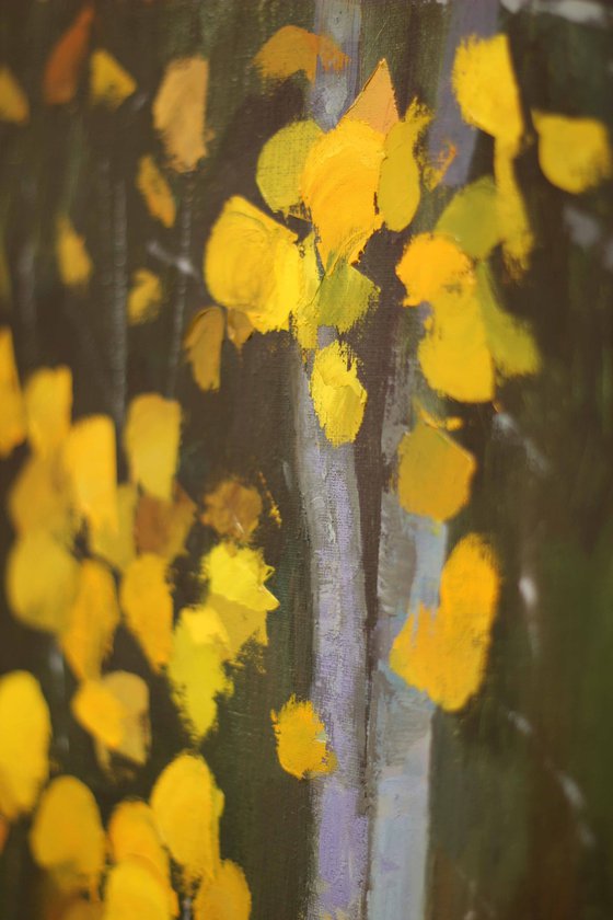 Golden aspens