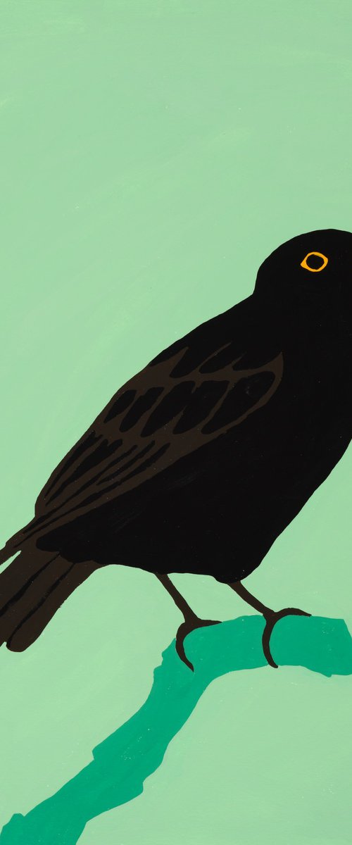 Black bird by Alícia Gómez