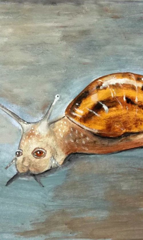 the snail by Silvia Beneforti