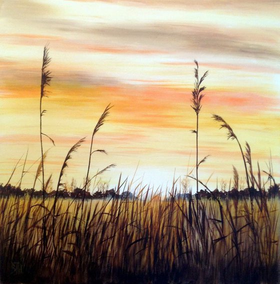 FEN REEDS