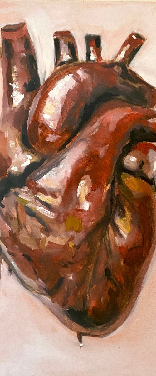 Untitled (Heart Study) by Laura Mead