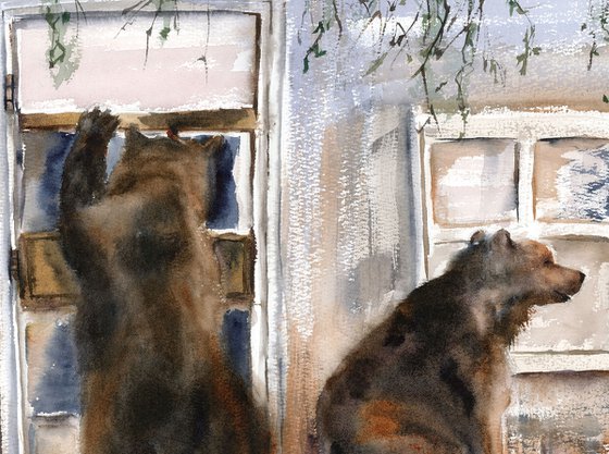 Curious Visitors