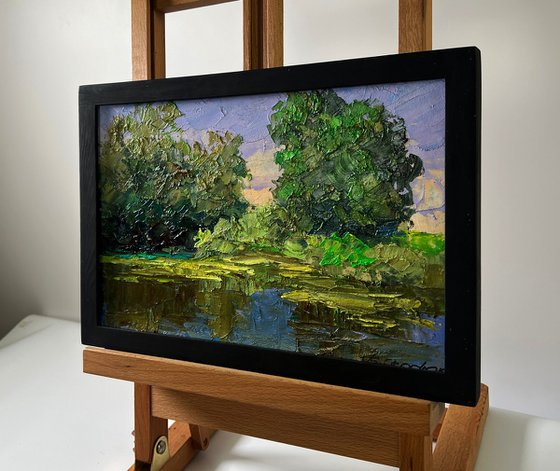 Trees near the Pond