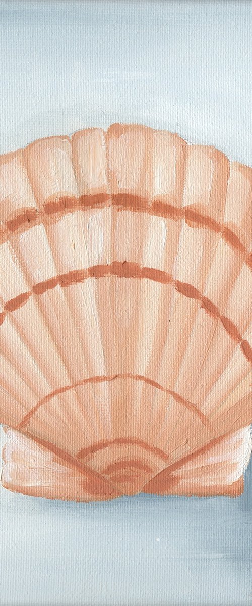 Seashell by Nagore Rodriguez