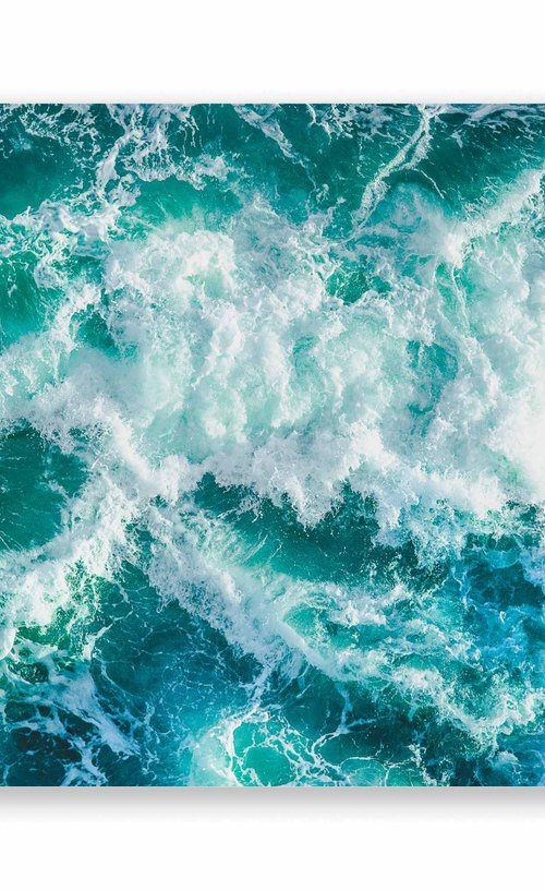 Force of Nature I by Lynne Douglas