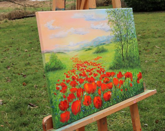 Poppy field by sunrise