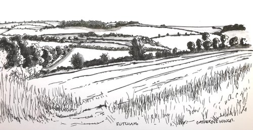 Norfolk Farm Landscape - trees hedges fields hills by Catherine Winget