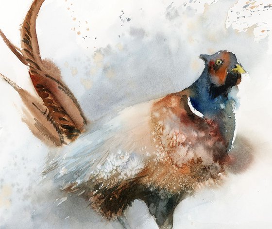 The Pheasant watercolor painting