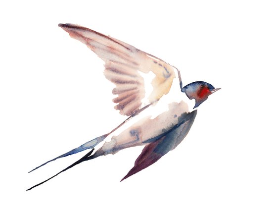 Swallows No. 50