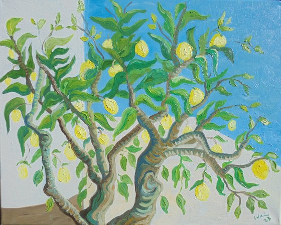 SOLD - Lemon tree