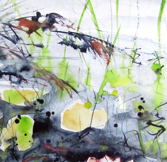 Water lilies IV