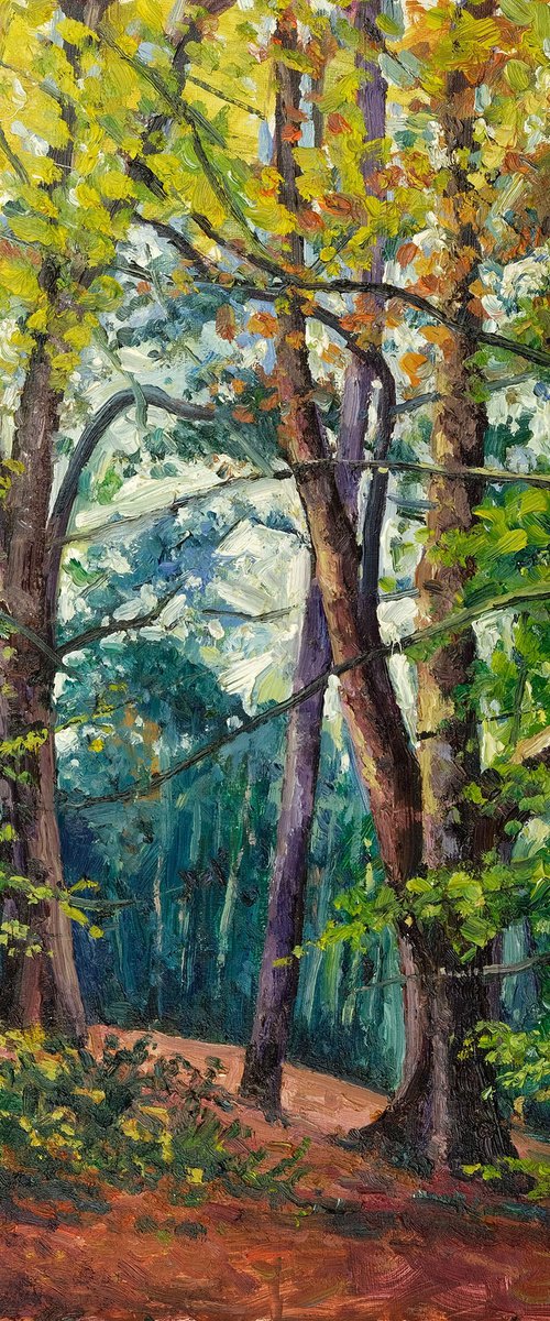 Autumn, Yearsley Woods by Jeff Parker