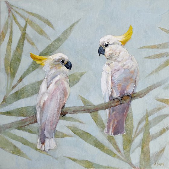 White Cockatoos