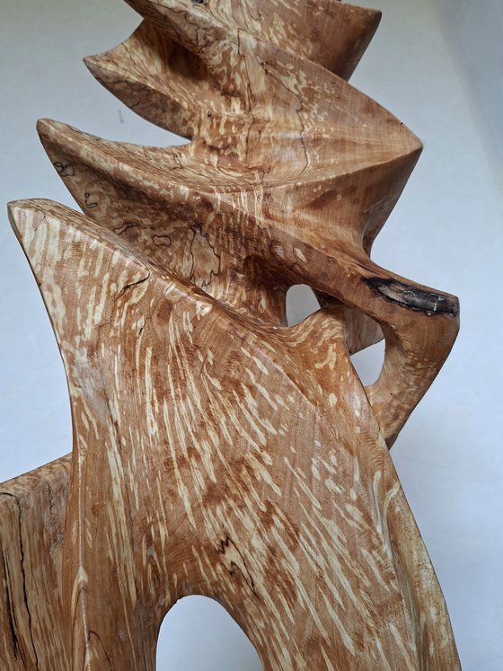 Birch bird