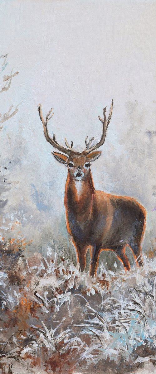 ‘Winter magic’ by Lucia Verdejo