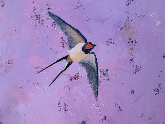 Swallows and Butterflies