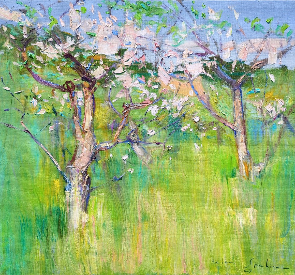 Apple tree blossoms in tall grass . 65x60 cm. Spring impressionistic oil painting . by Helen Shukina