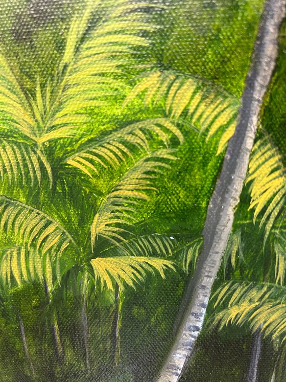 Where Palms Lean
