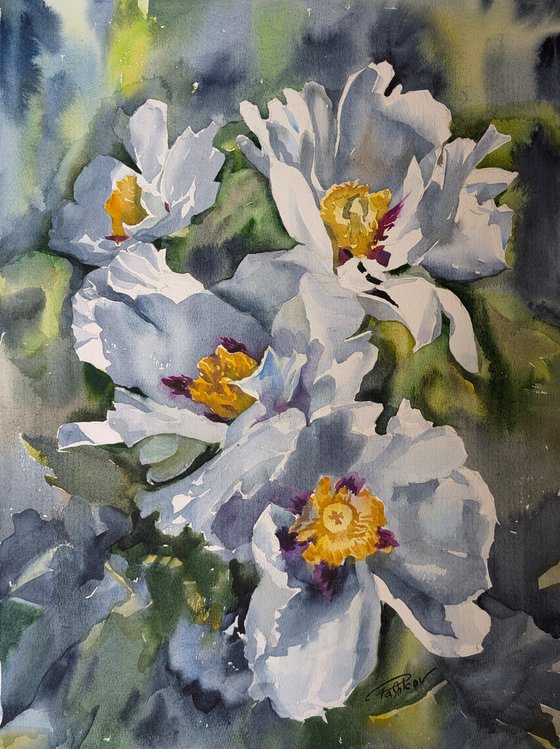 WHITE PEONIES #10