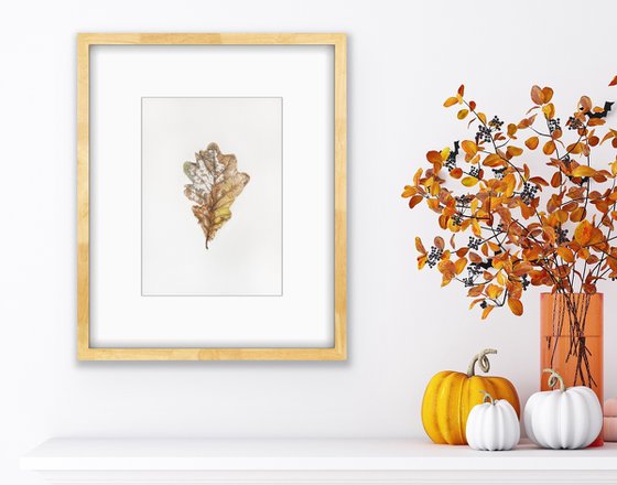 Last dance - oak leaf botanical watercolour illustration.