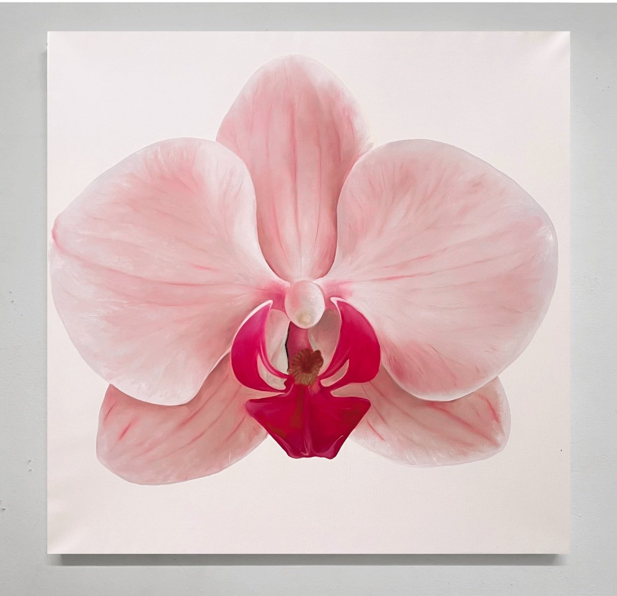 Photorealistic Oil Painting , Orchid Pink By Rosi Roys, 39 X 39, Artwork For Sale On Artfinder