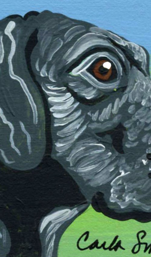 Great Dane by Carla Smale
