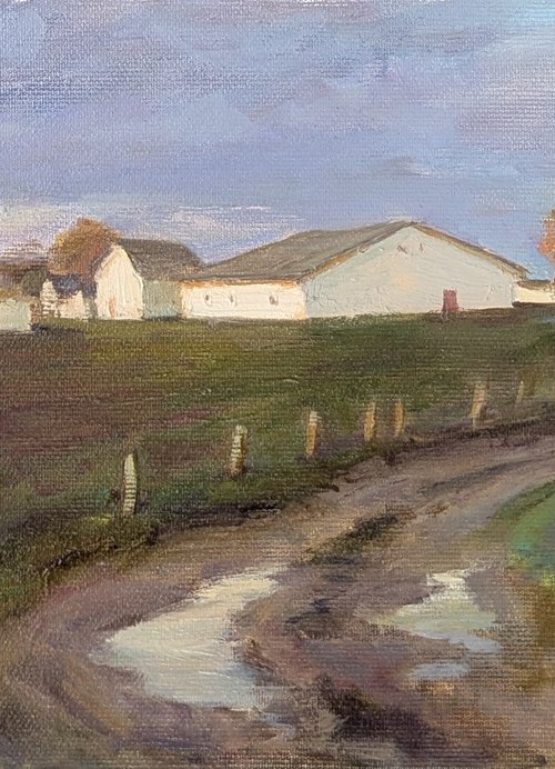 Countryside evening by Olga Samar