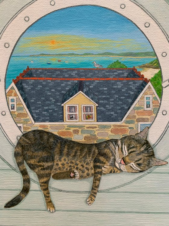 The Porthole cat