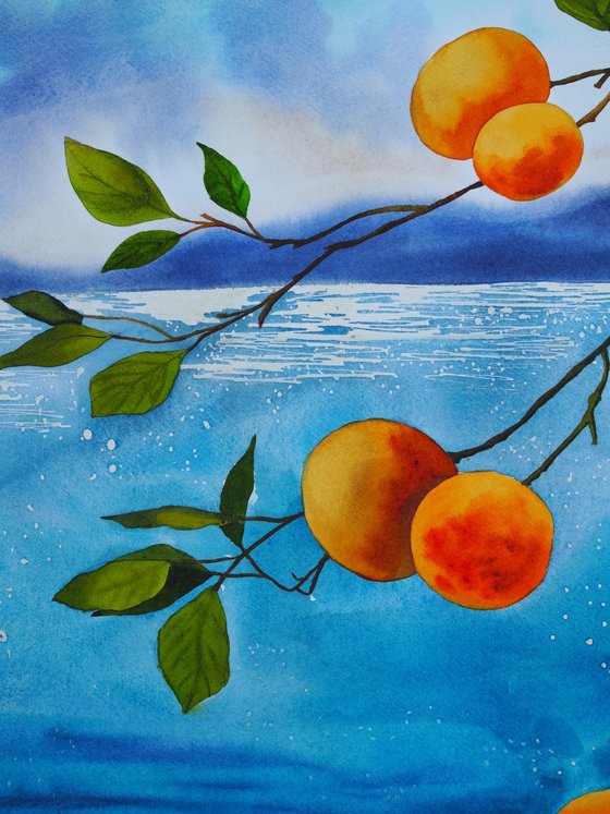 Mediterranean